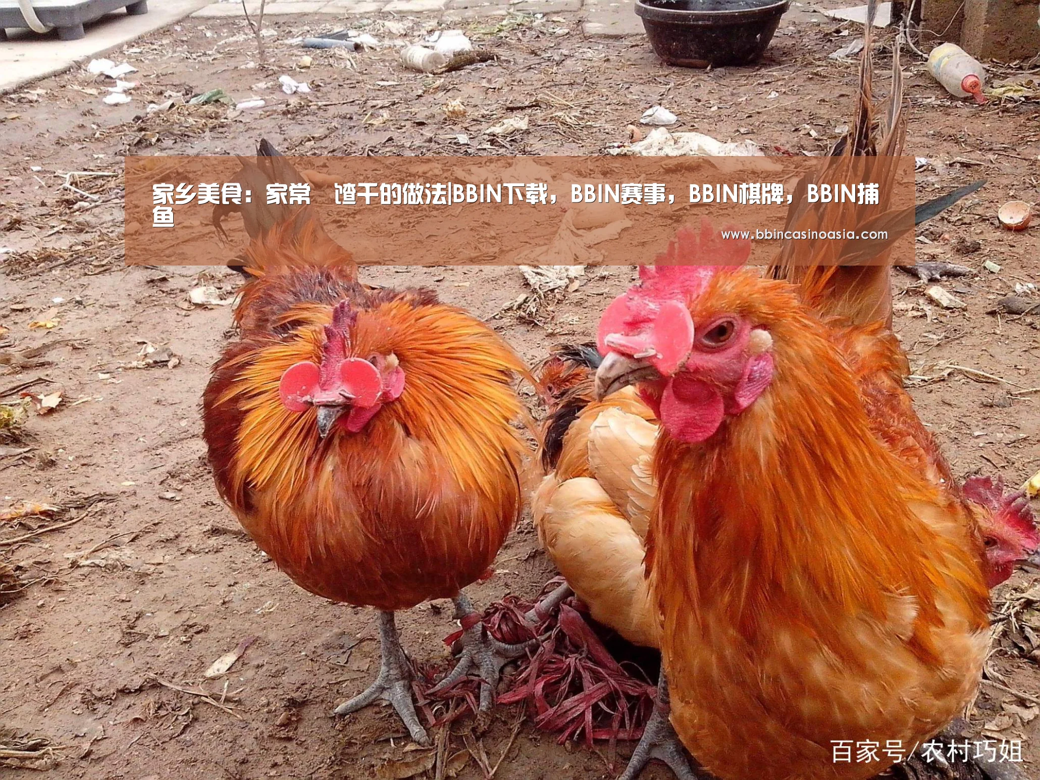 家乡美食:家常饹馇千的做法|BBIN下载,BBIN赛事,BBIN棋牌,BBIN捕鱼(图2) BBIN下载,BBIN赛事,BBIN棋牌,BBIN捕鱼